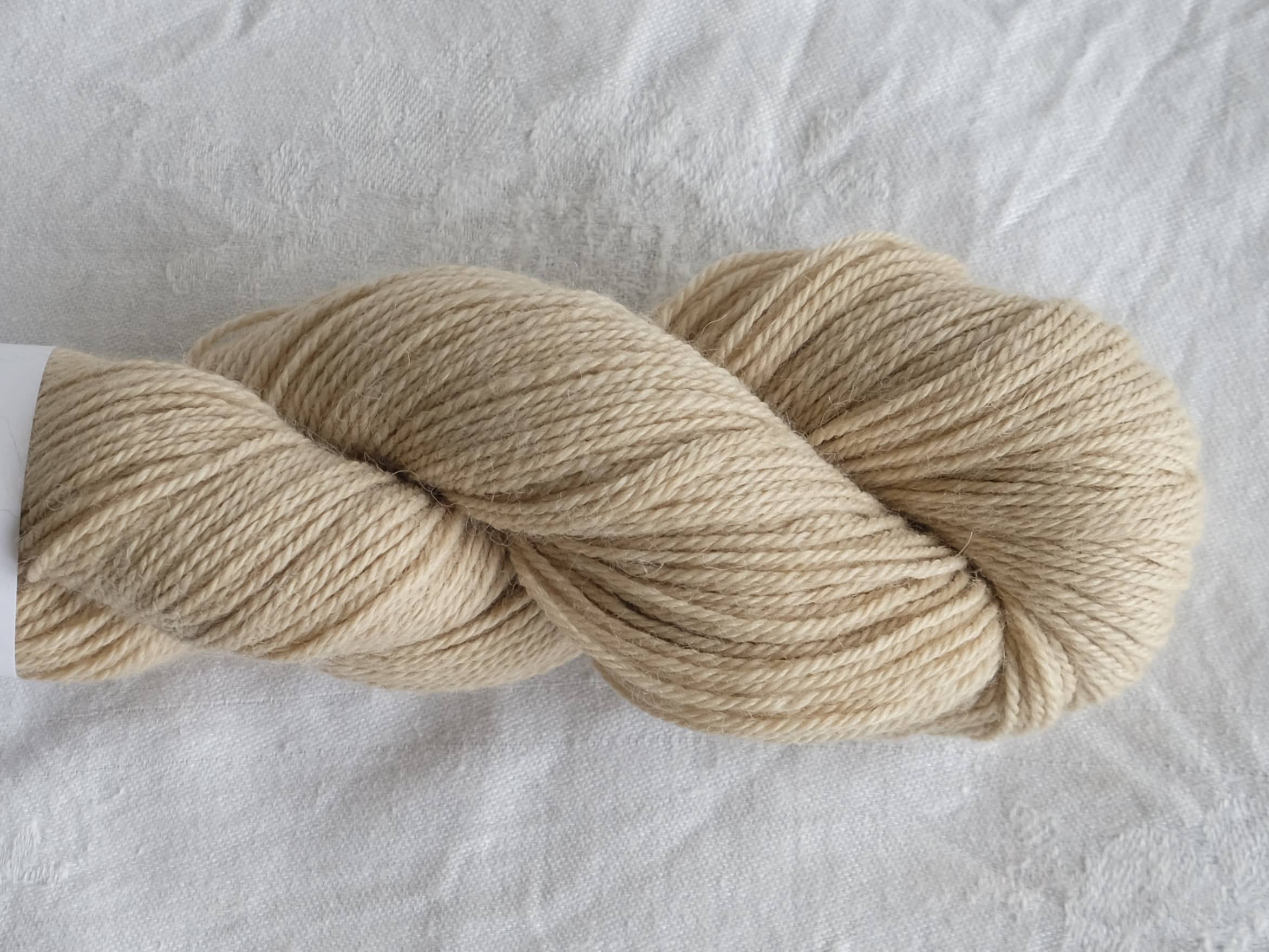 Baby alpaca - RAS certificeret - Billede 5