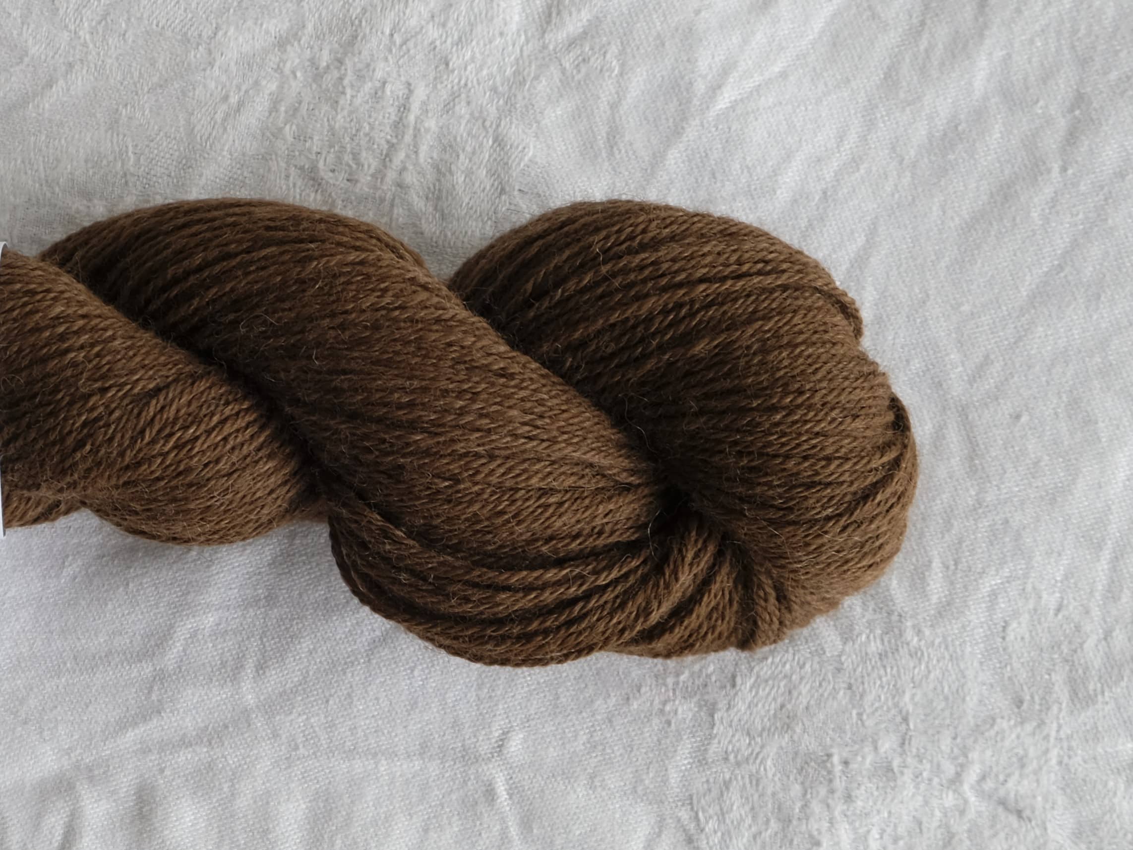 Baby alpaca - RAS certificeret - Billede 4