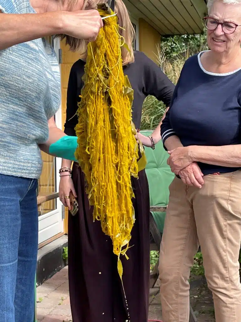 Plantefarvning med Garnfryd