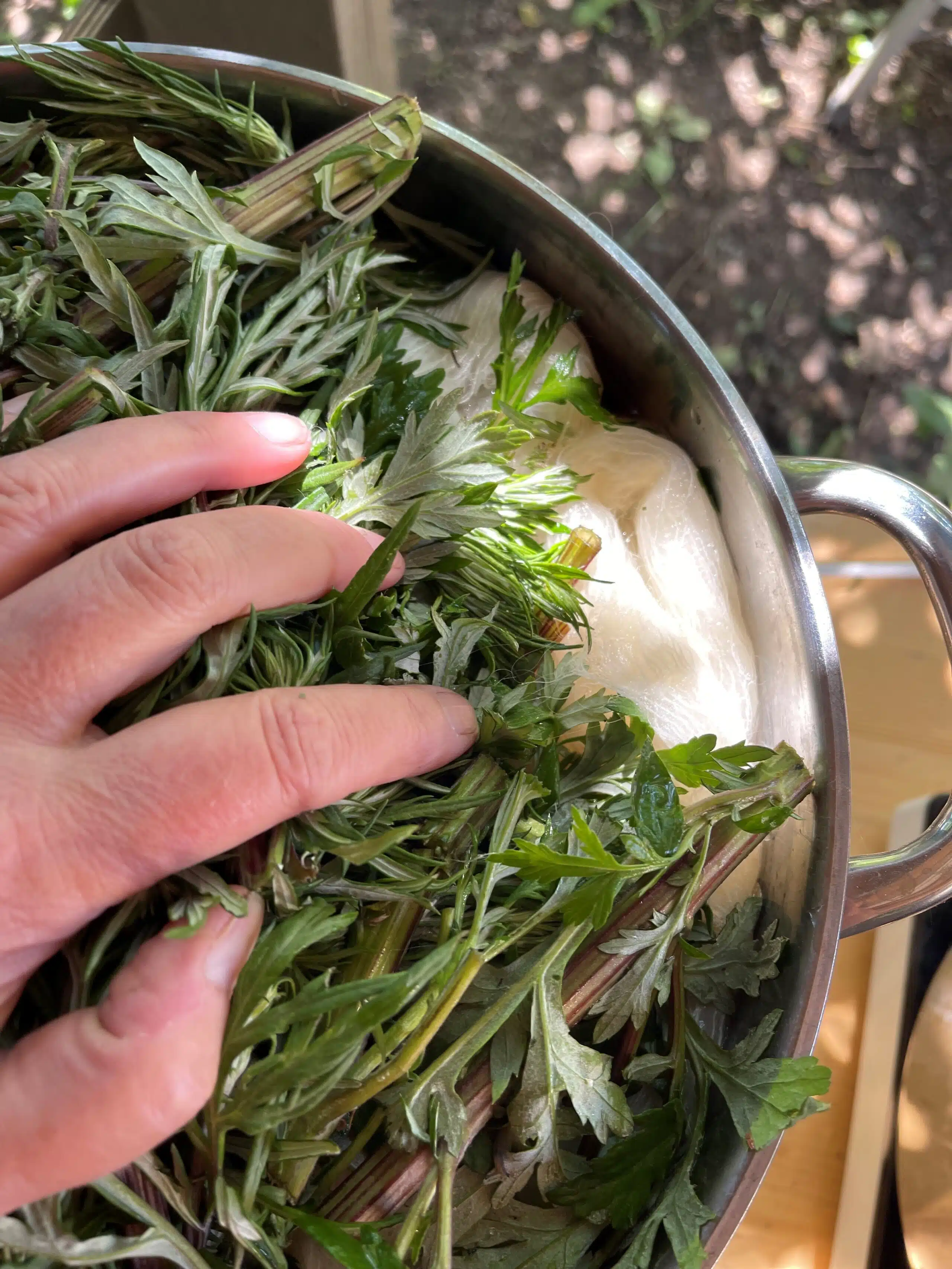 Plantefarvning med gråbynke